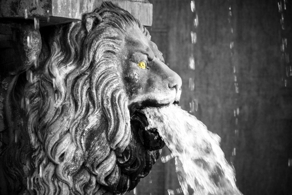 Fountain threatening wild