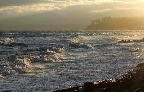 Comox british columbia coast photo