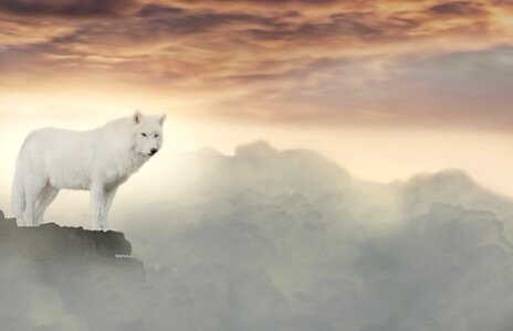 White mystical mysterious