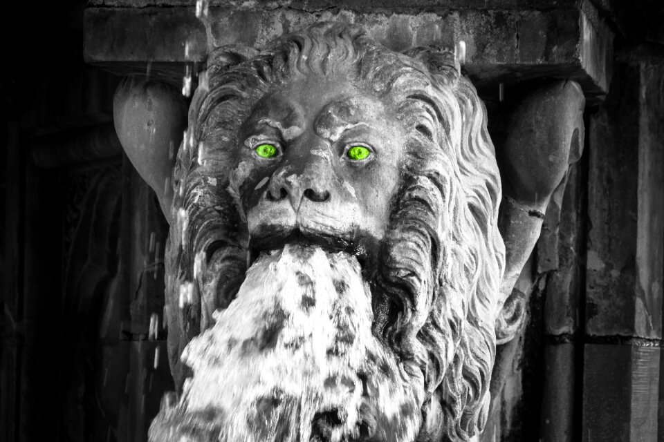 Fountain threatening wild