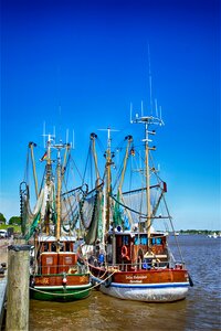 Ship shrimp sun photo