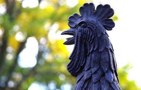 Arts crafts cockscomb livestock