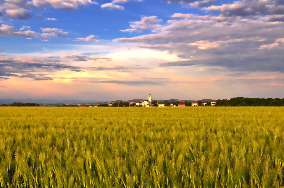 Cornfield village sky