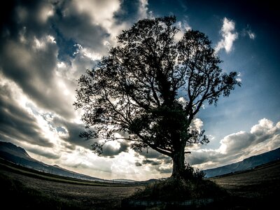 Aso sky wood