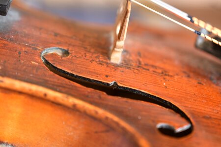 Web wood musical instrument