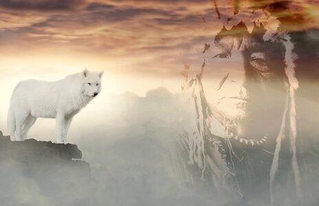 Fantasy white mystical photo