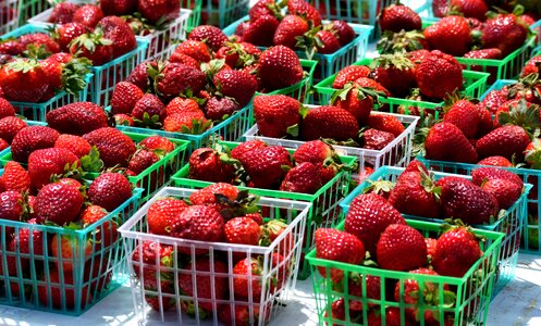 Strawberry basket supermarket photo