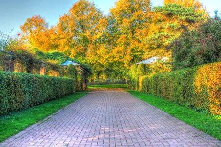 Background october hdr