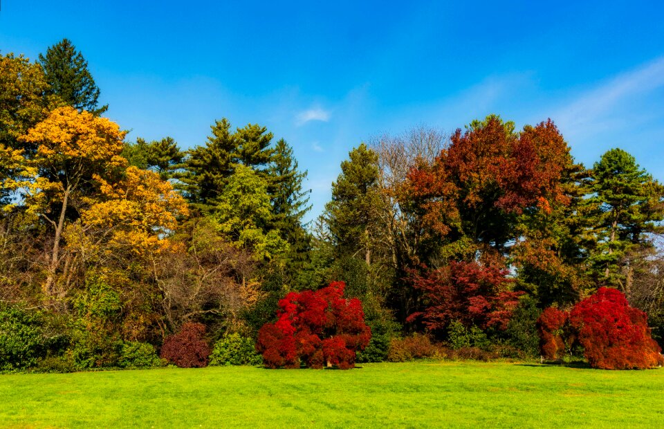 Sky landscape nature