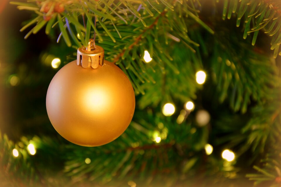 Christmas ornament christmas tree fir tree