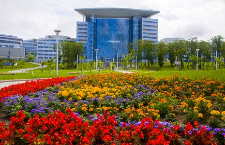 Fefu university vladivostok