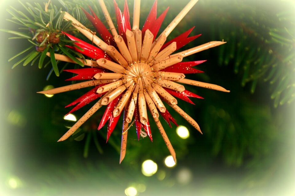 Star poinsettia tree decorations