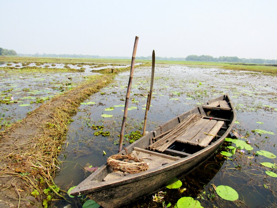 Nature fishing landscape