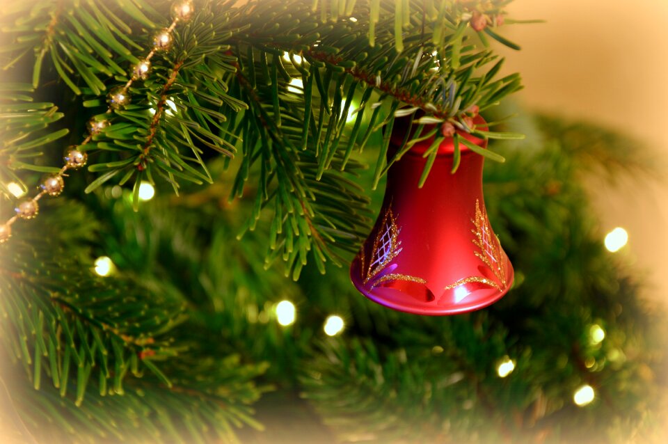 Fir green fir tree christmas ornaments