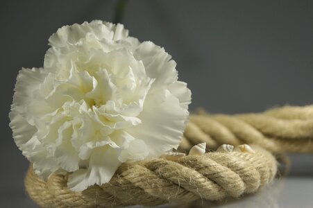 White map decoration
