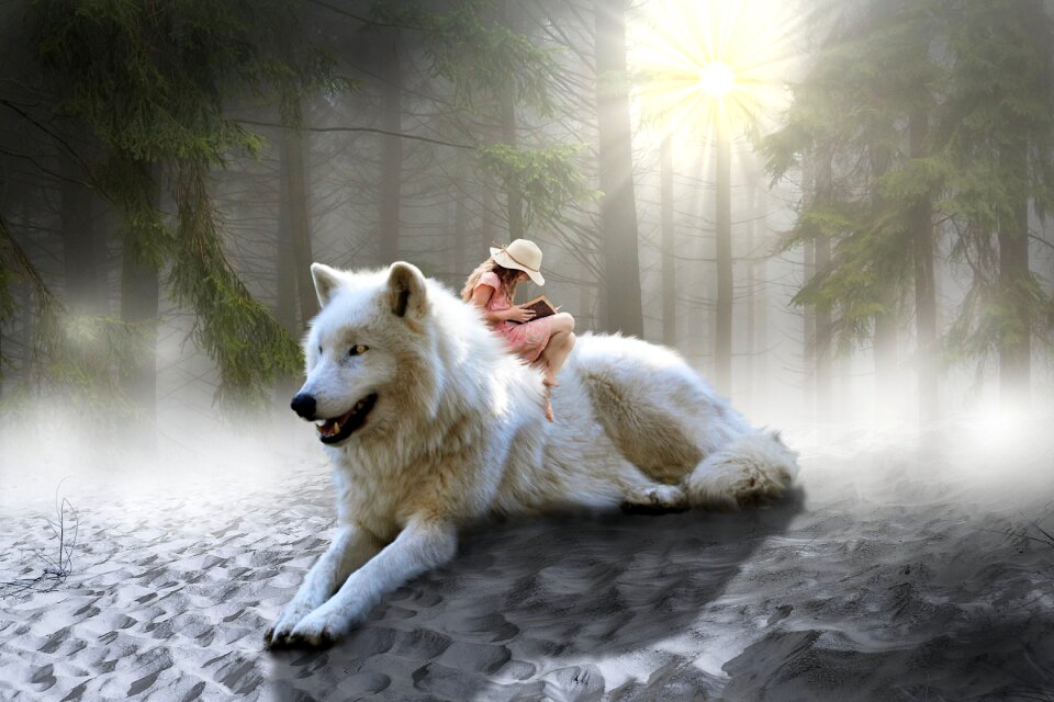 Fairytales girl photomontage