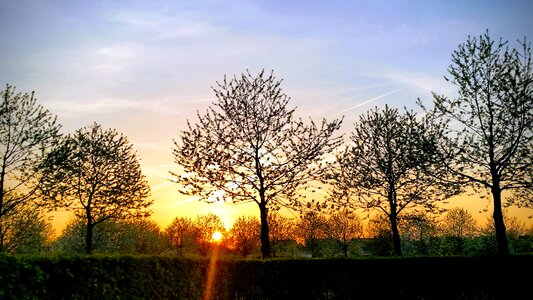 Sunset nature evening