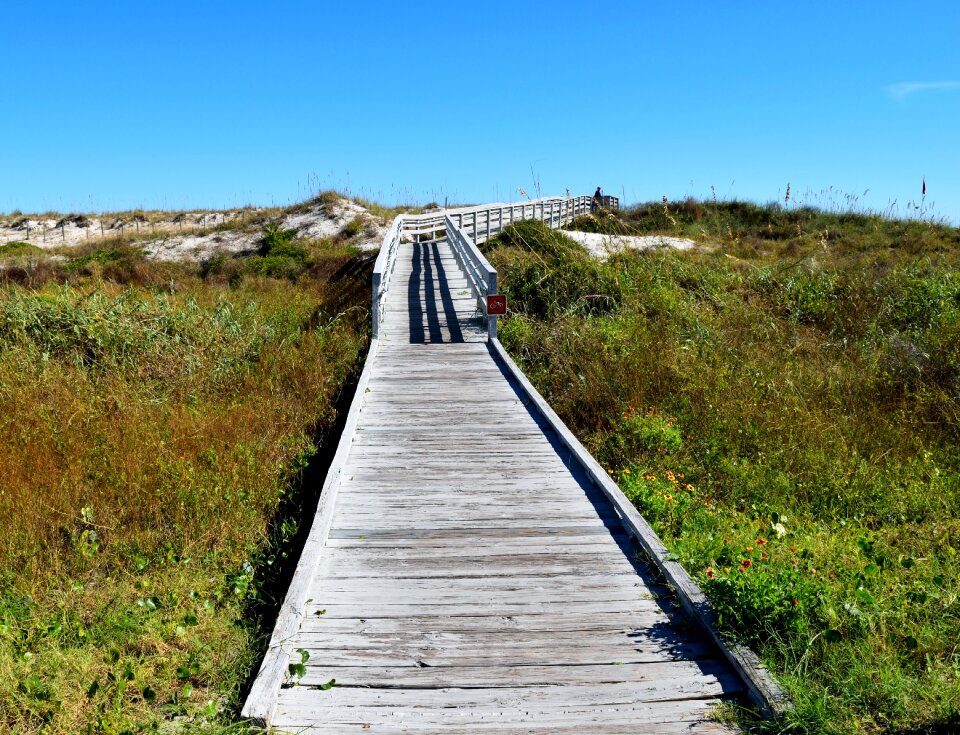 Beach outdoors path