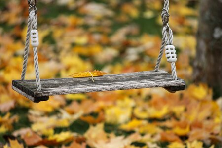 Garden ropes board