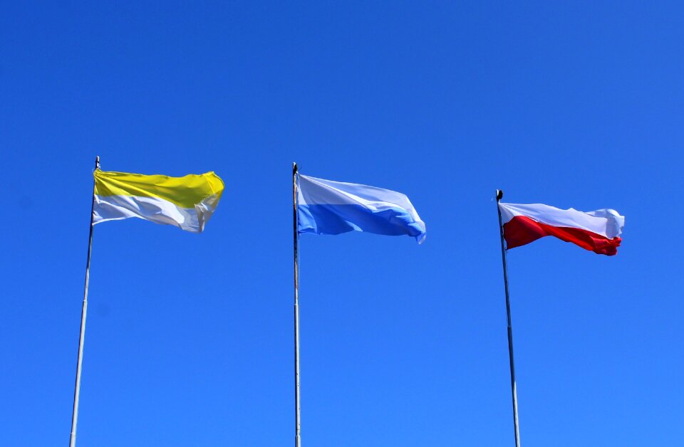 Freedom the independence of the wind