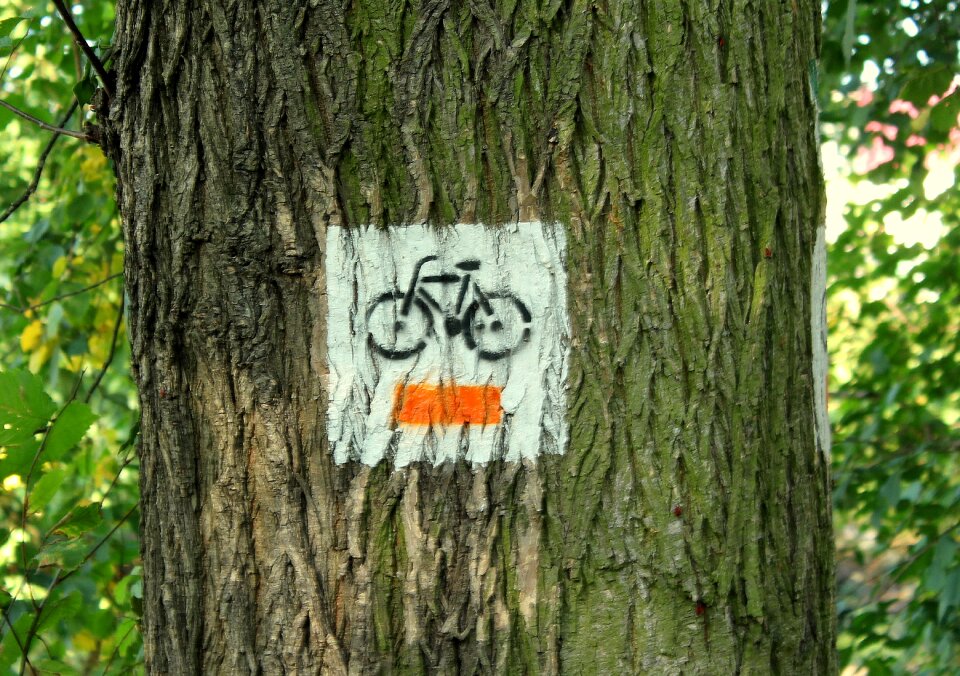 Way direction cyclists