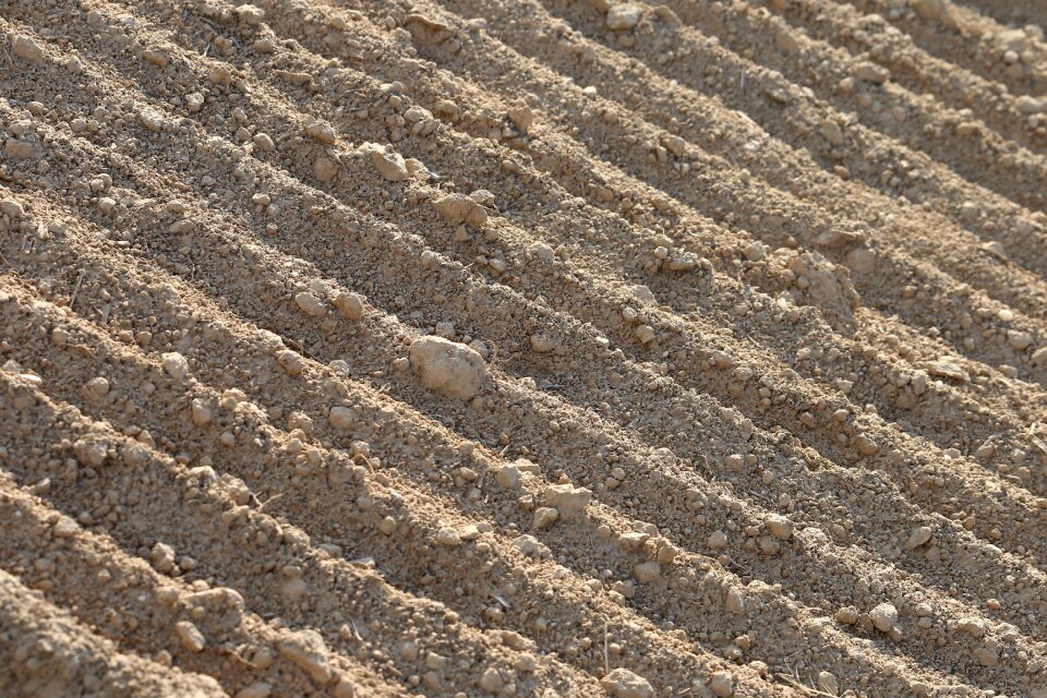 Dry texture agriculture