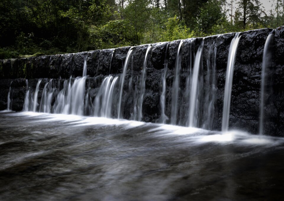 Forest water river photo