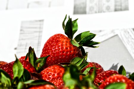 Fruits red sweet