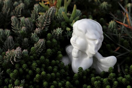 Spiritual nature outdoor