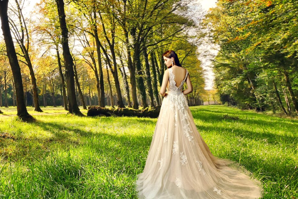 Fashion victorian dress