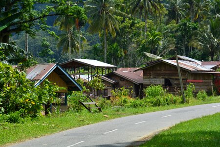 Indonesia sumatra ketambe