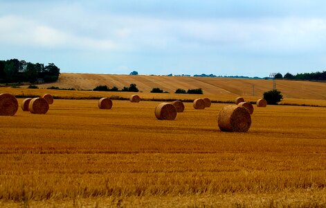 Agriculture round bales landscape photo
