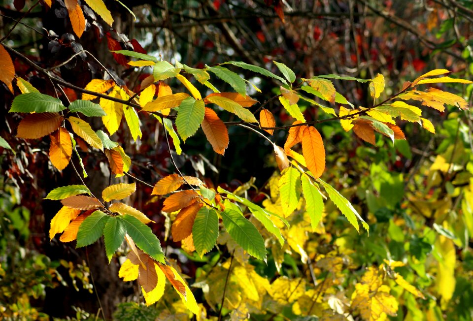 Mood season autumn