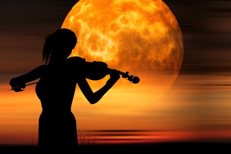 Sound violin atmosphere photo