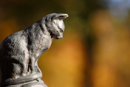 Funerary art bronze cat photo