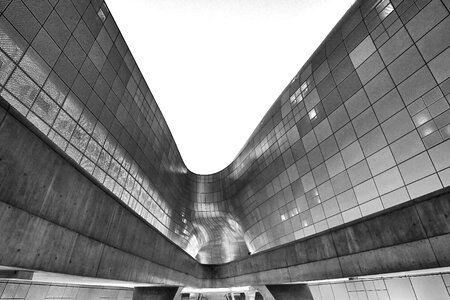 Korea south korea curves