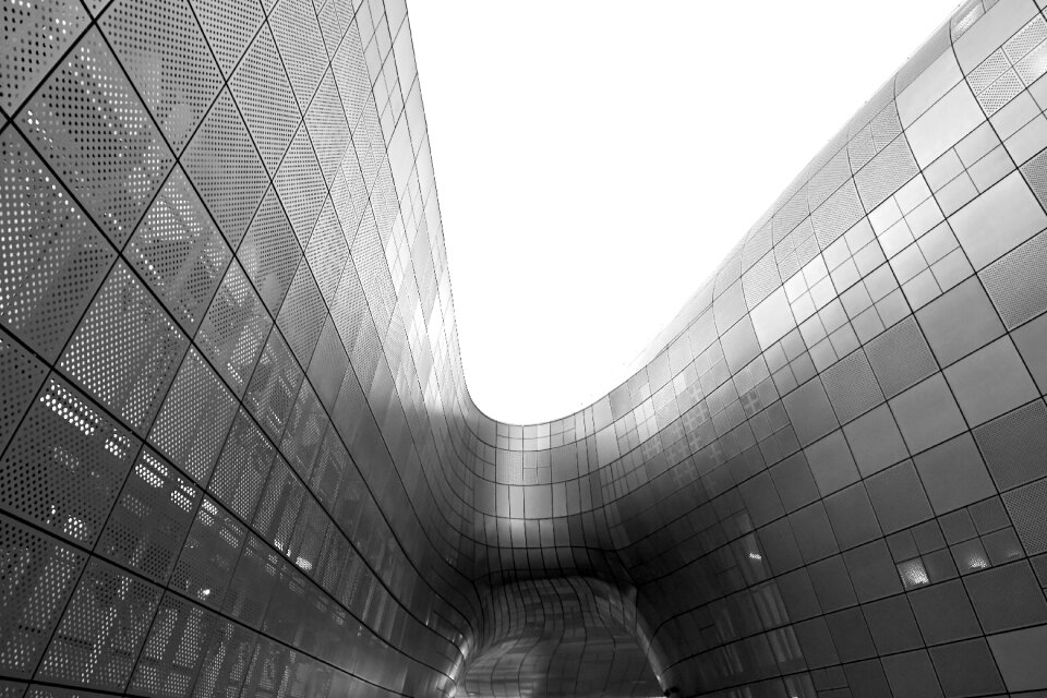 Korea south korea curves