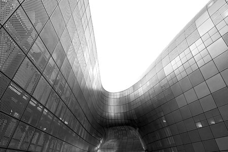 Korea south korea curves