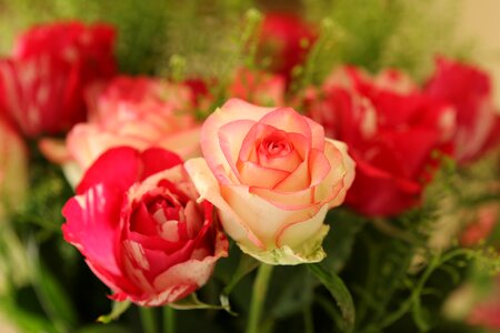 Flowers bouquet romantic