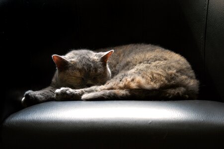 Lying sleeping sleep