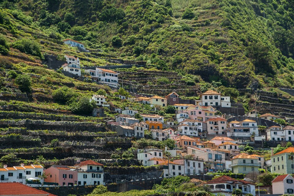 Madeira porto moniz village