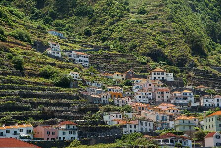 Madeira porto moniz village photo