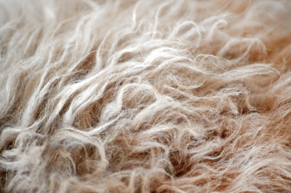Cat fur wavy ruffled