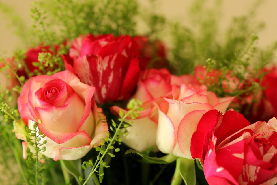 Bouquet romantic blossom