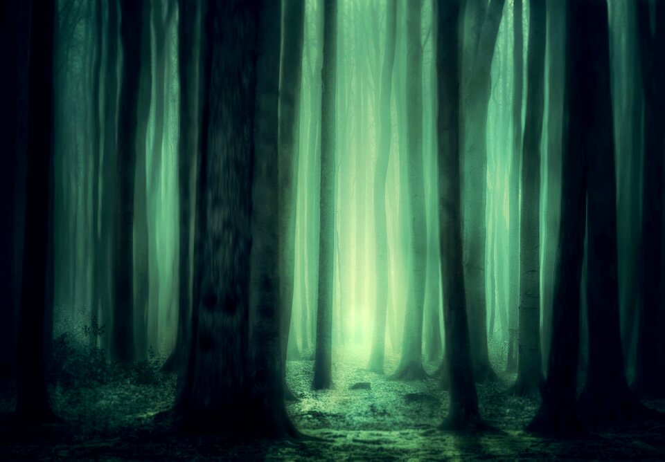 Atmosphere mysterious dark