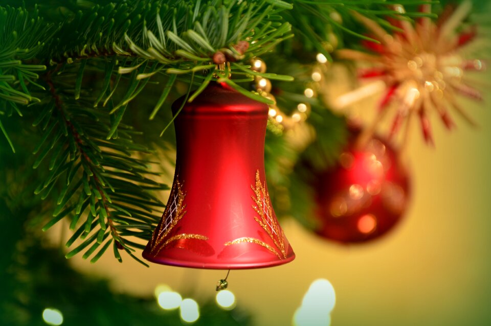 Christmas tree christmas ornaments fir tree
