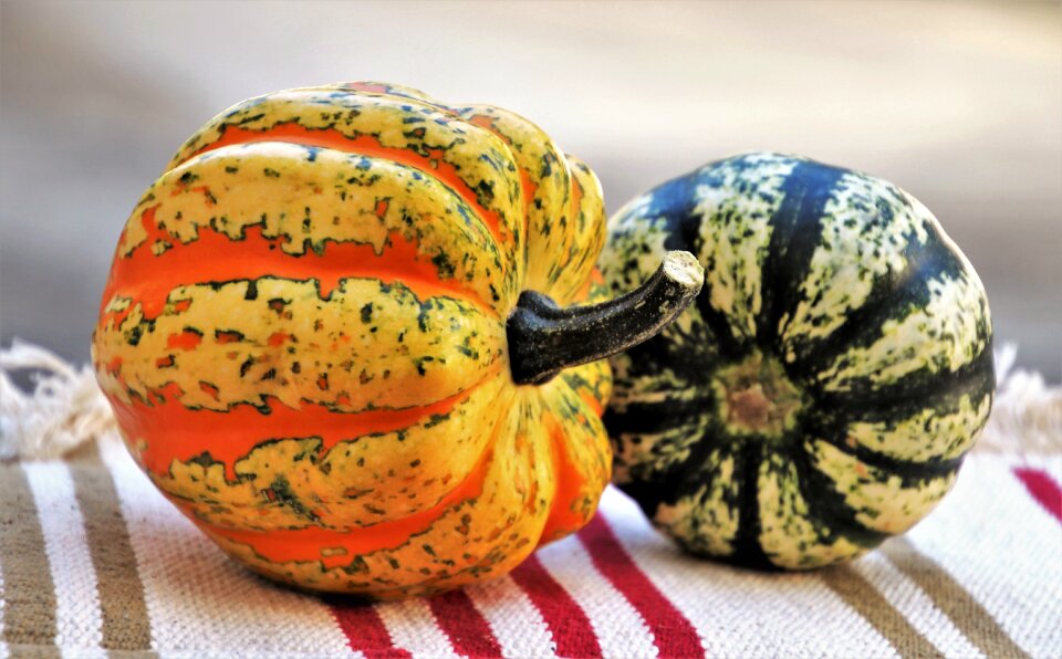 In the fall yellow pumpkin