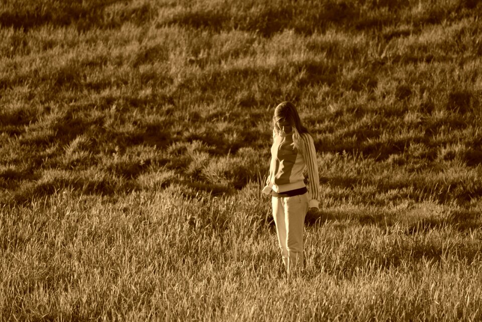Standing field summer