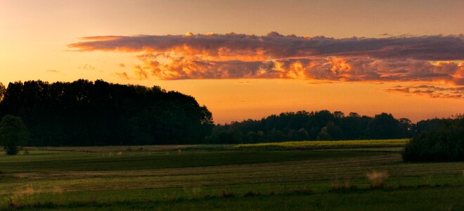 Field grass landscape