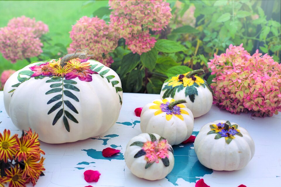 White pumpkins decorations decoupage